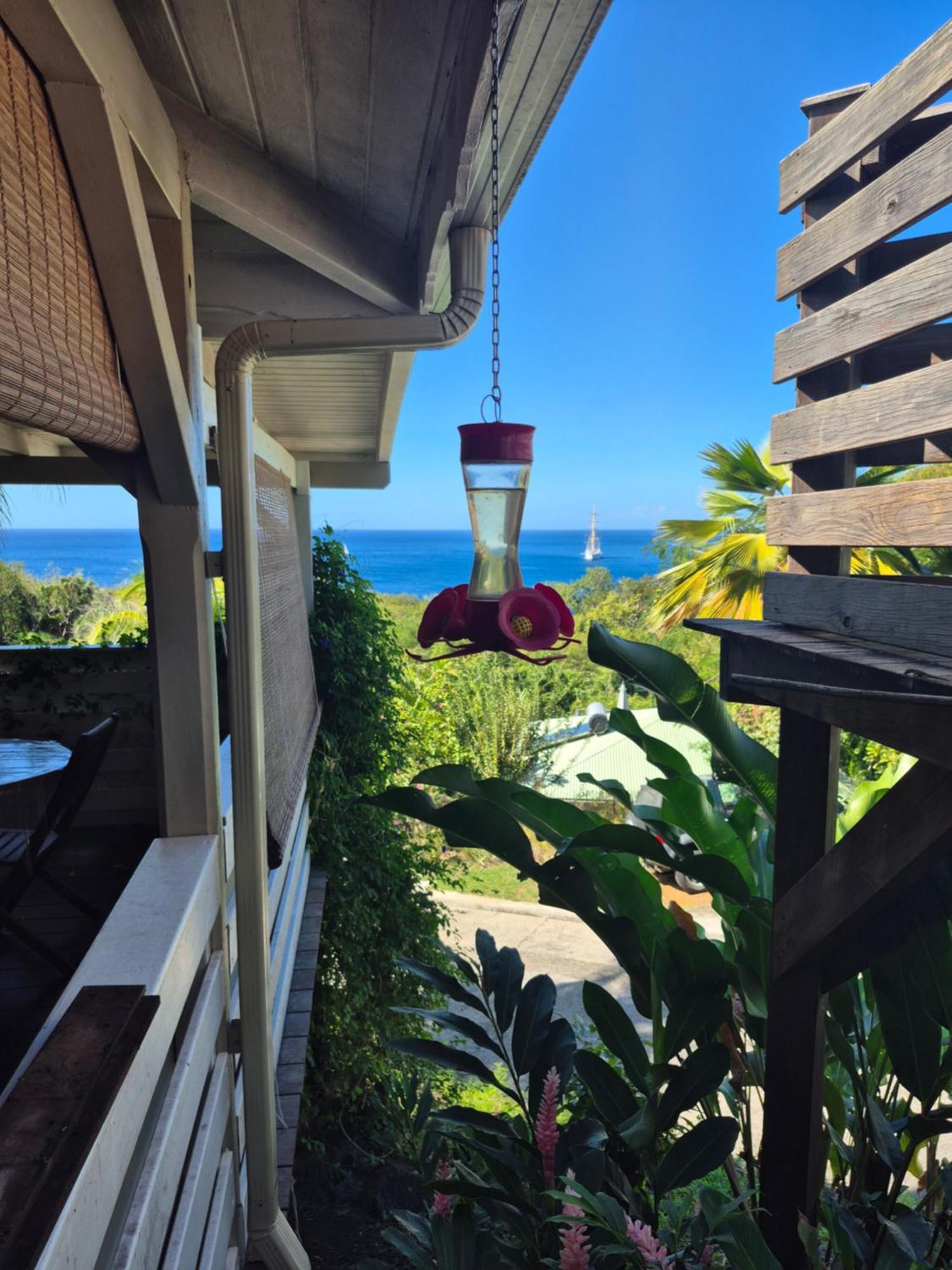 Villa Cannelle, Piscine, Vue Mer デエエ エクステリア 写真